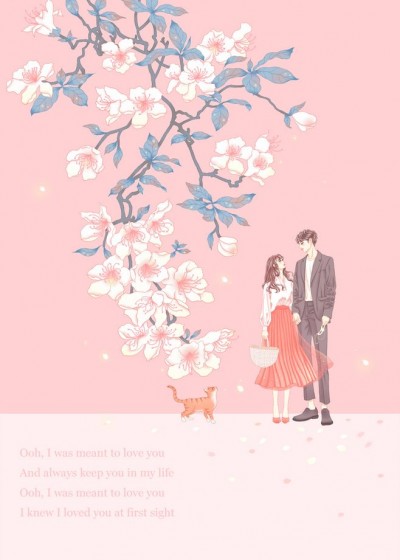 独家宠婚：替嫁小妻甜且盐楚颜夕封墨寒